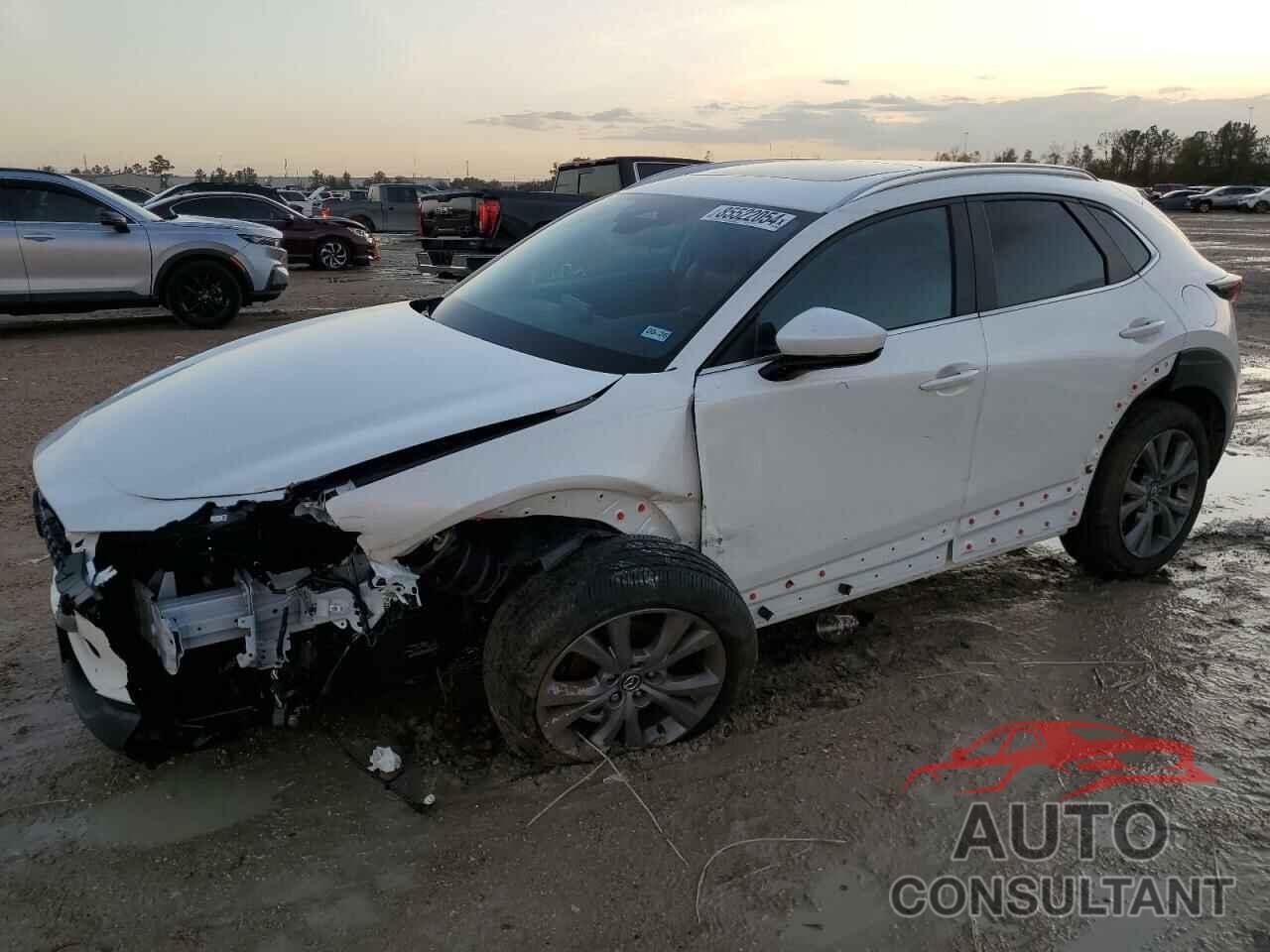 MAZDA CX30 2024 - 3MVDMBCM8RM718565