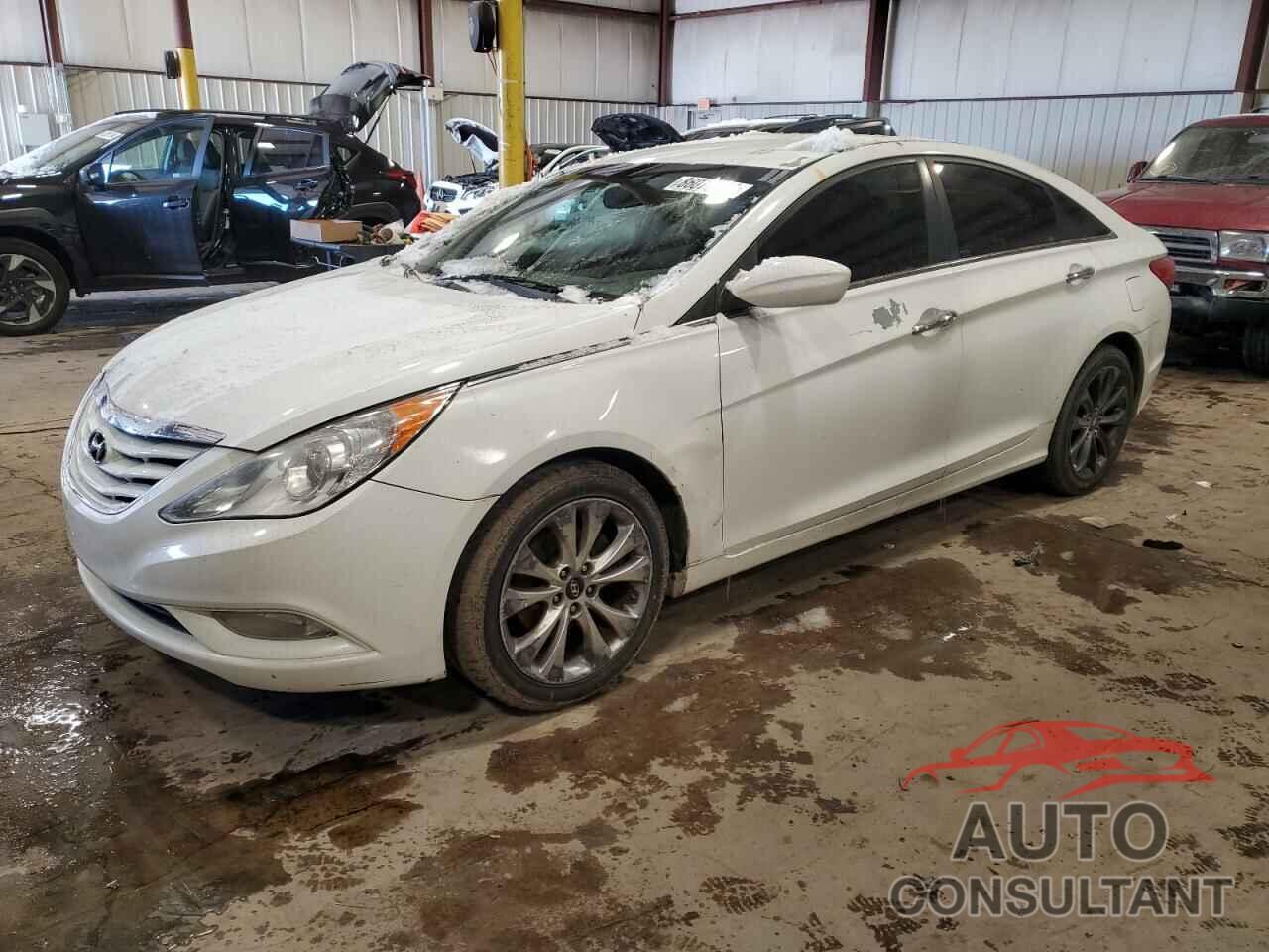 HYUNDAI SONATA 2011 - 5NPEC4ACXBH218546