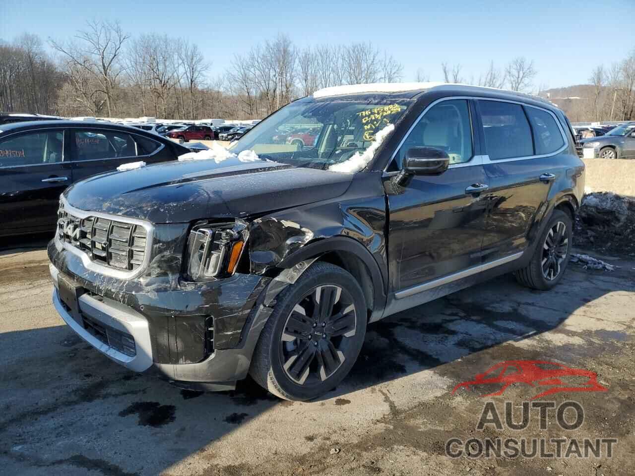KIA TELLURIDE 2024 - 5XYP5DGC3RG480789