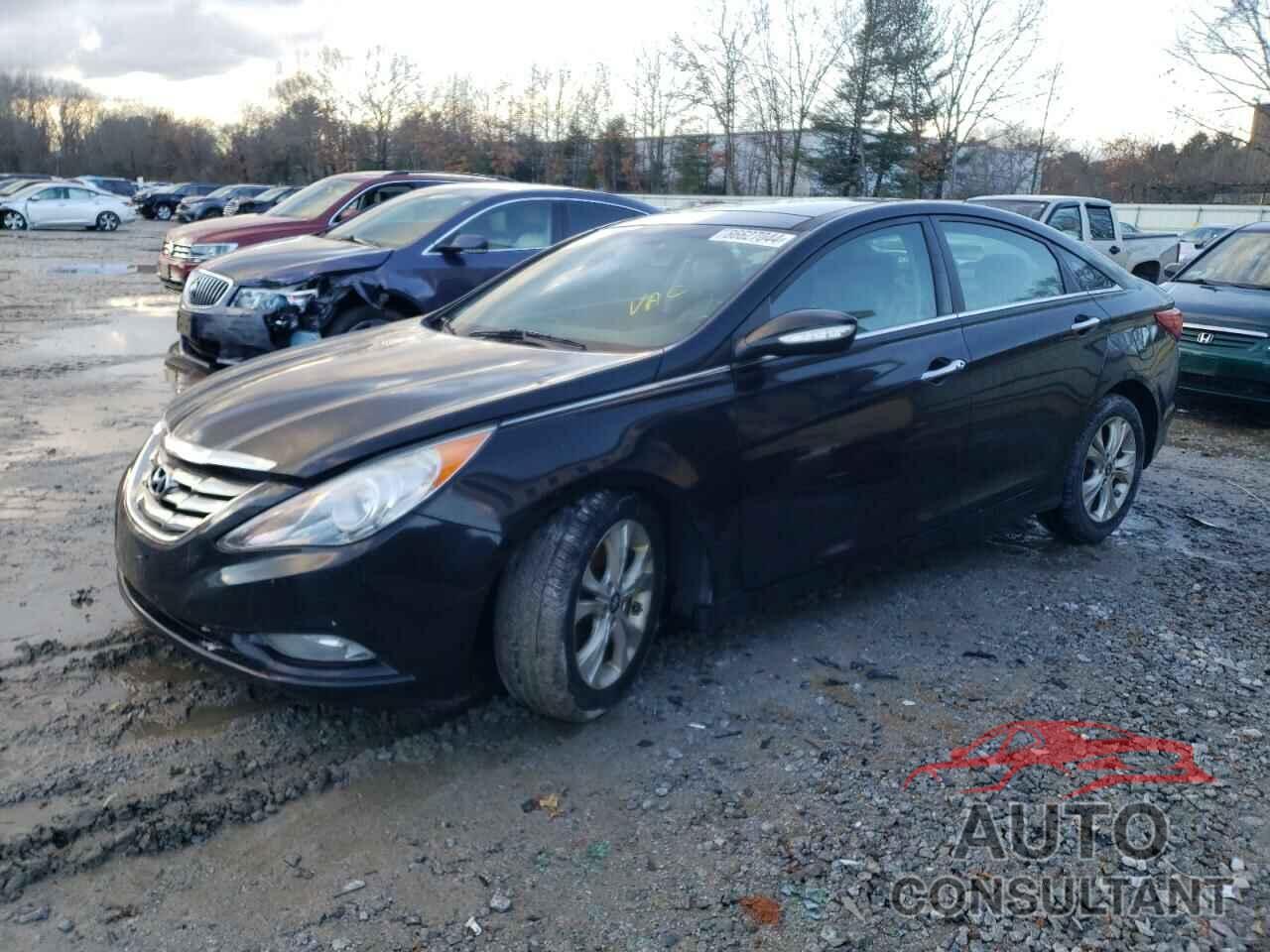 HYUNDAI SONATA 2013 - 5NPEC4AC8DH594701