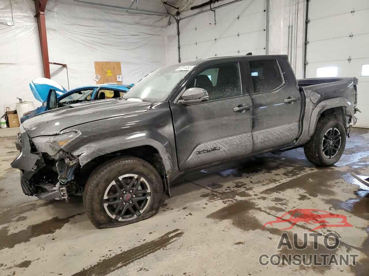 TOYOTA TACOMA 2024 - 3TMLB5JN6RM070515