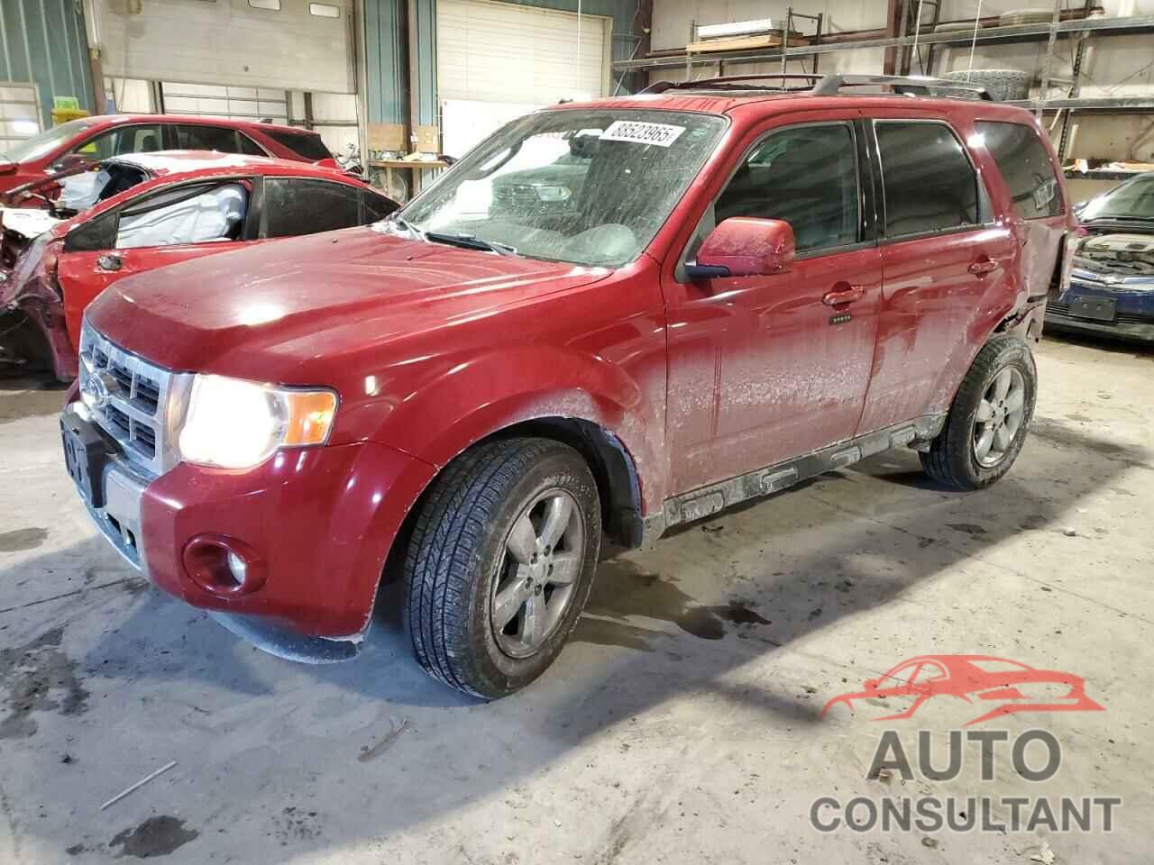 FORD ESCAPE 2011 - 1FMCU9EG2BKB89541