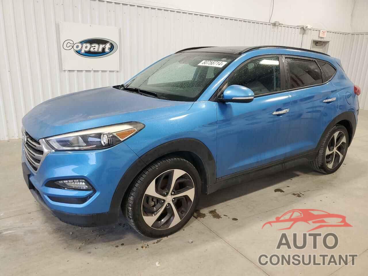 HYUNDAI TUCSON 2016 - KM8J33A28GU067585