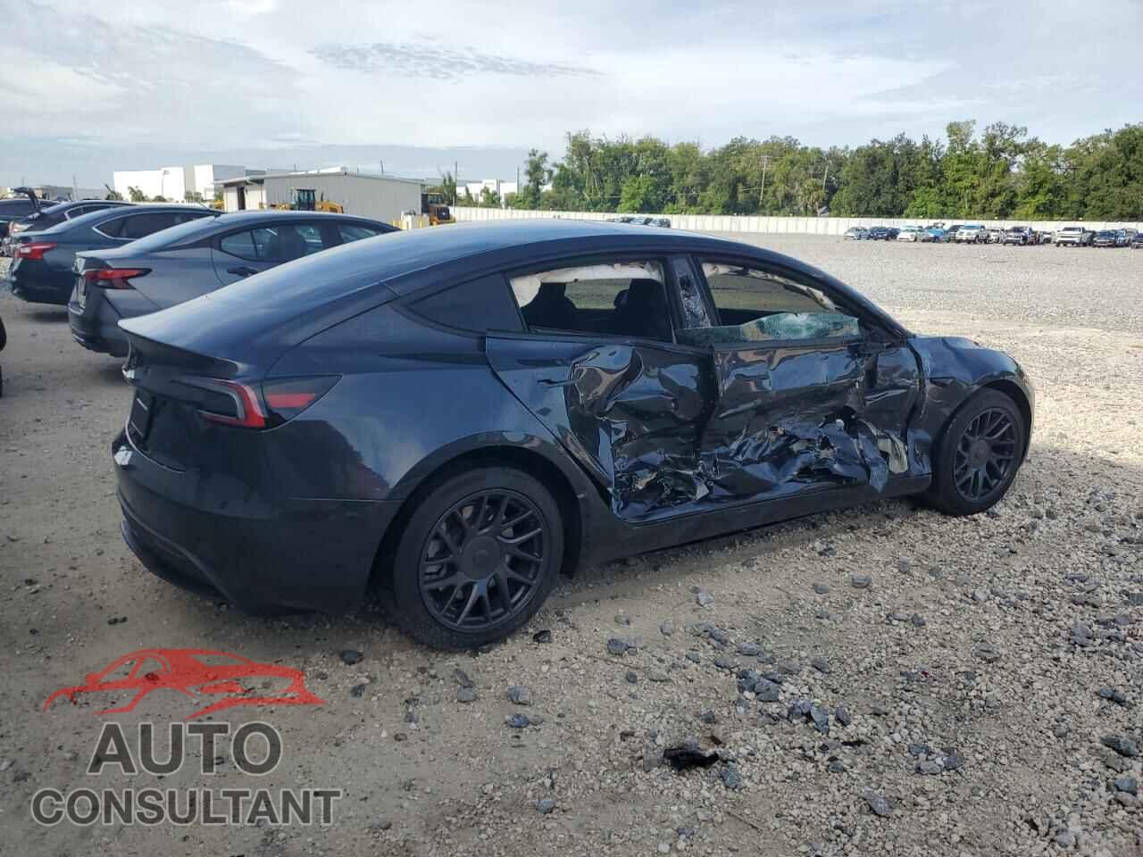 TESLA MODEL 3 2024 - 5YJ3E1EA8RF825496