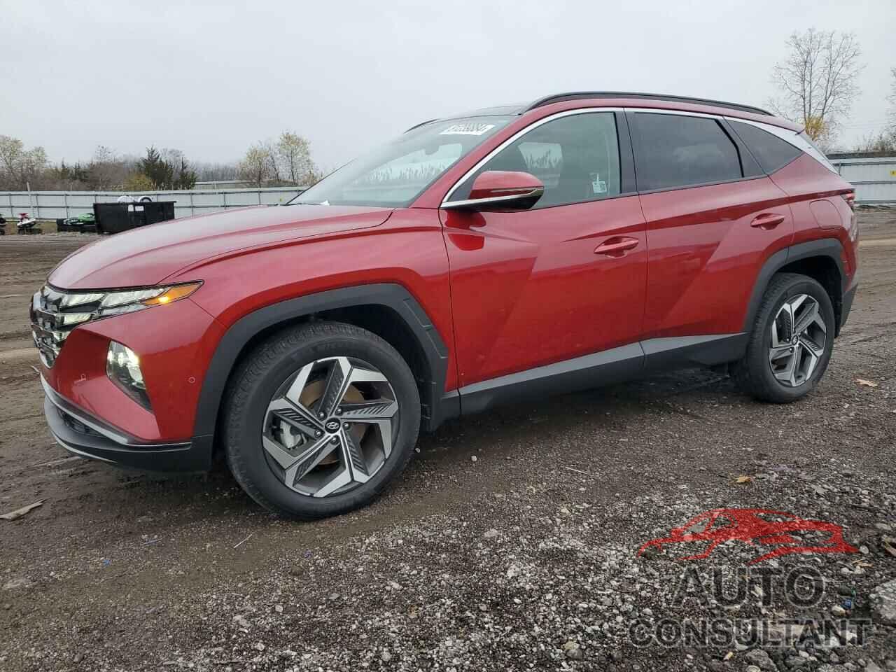 HYUNDAI TUCSON 2024 - 5NMJECDE8RH408689