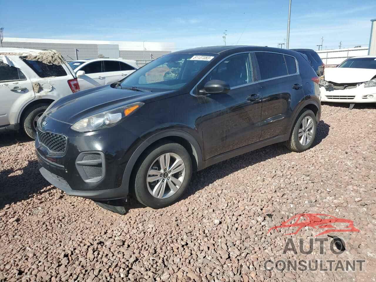 KIA SPORTAGE 2017 - KNDPM3AC4H7159717