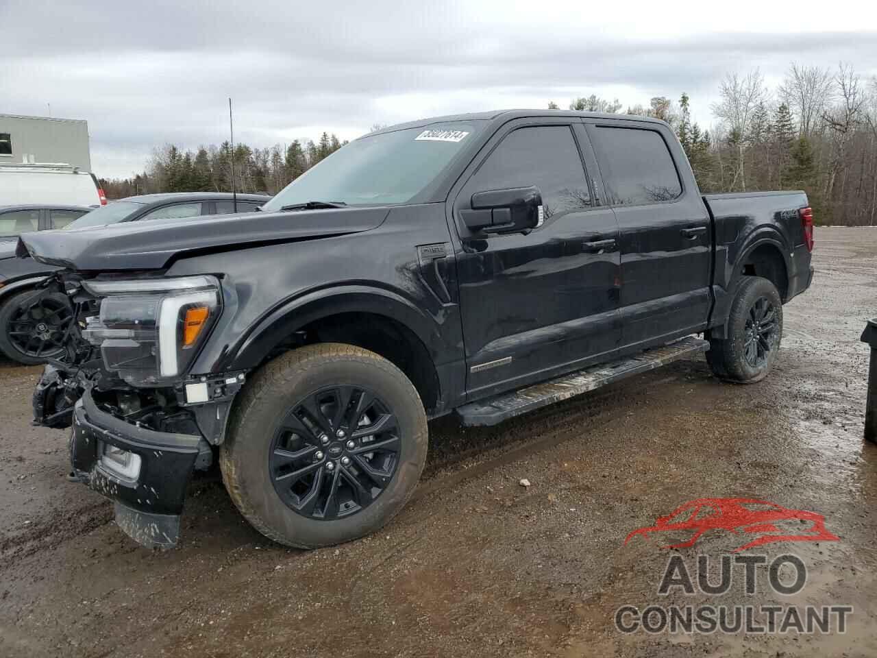 FORD F150 LARIA 2024 - 1FTFW5LDXRFB27529