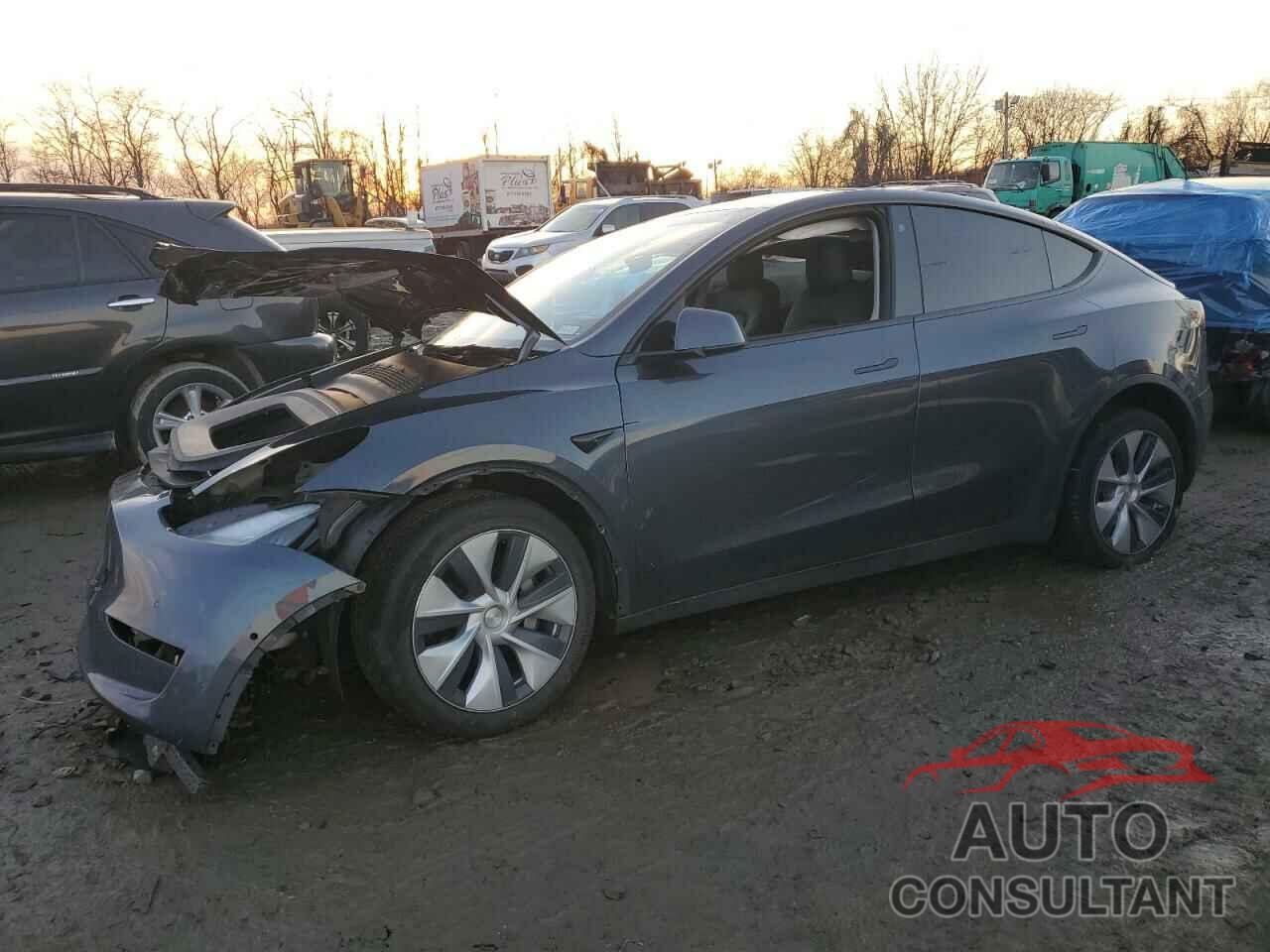 TESLA MODEL Y 2021 - 5YJYGDEE7MF087381