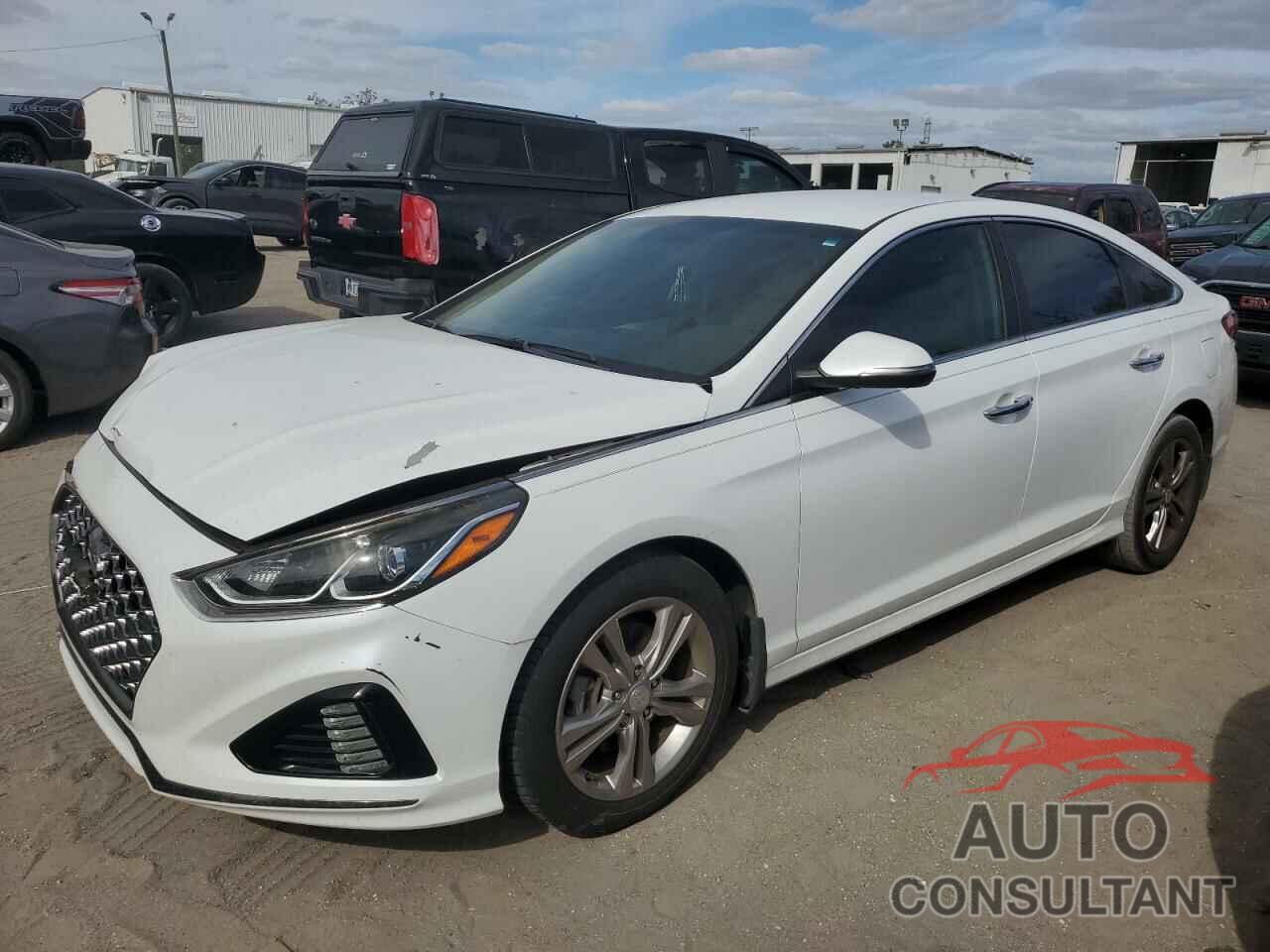 HYUNDAI SONATA 2019 - 5NPE34AF3KH805388