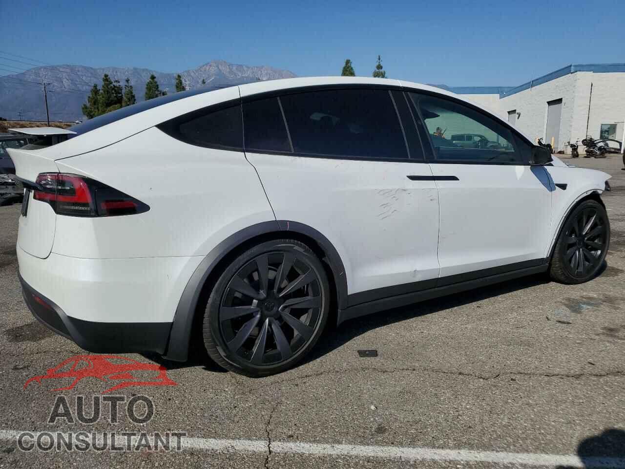 TESLA MODEL X 2024 - 7SAXCDE54RF458689
