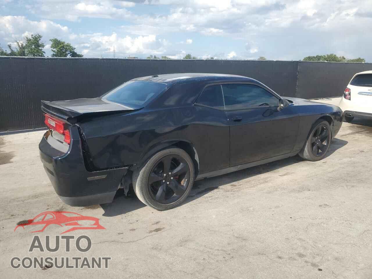 DODGE CHALLENGER 2013 - 2C3CDYAG1DH619935