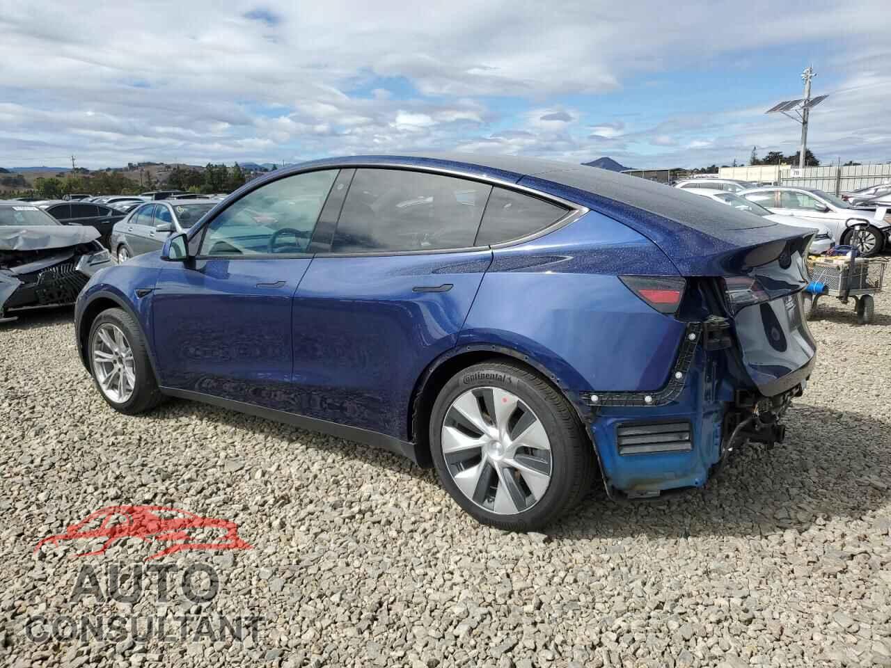 TESLA MODEL Y 2023 - 7SAYGAEE3PF604830