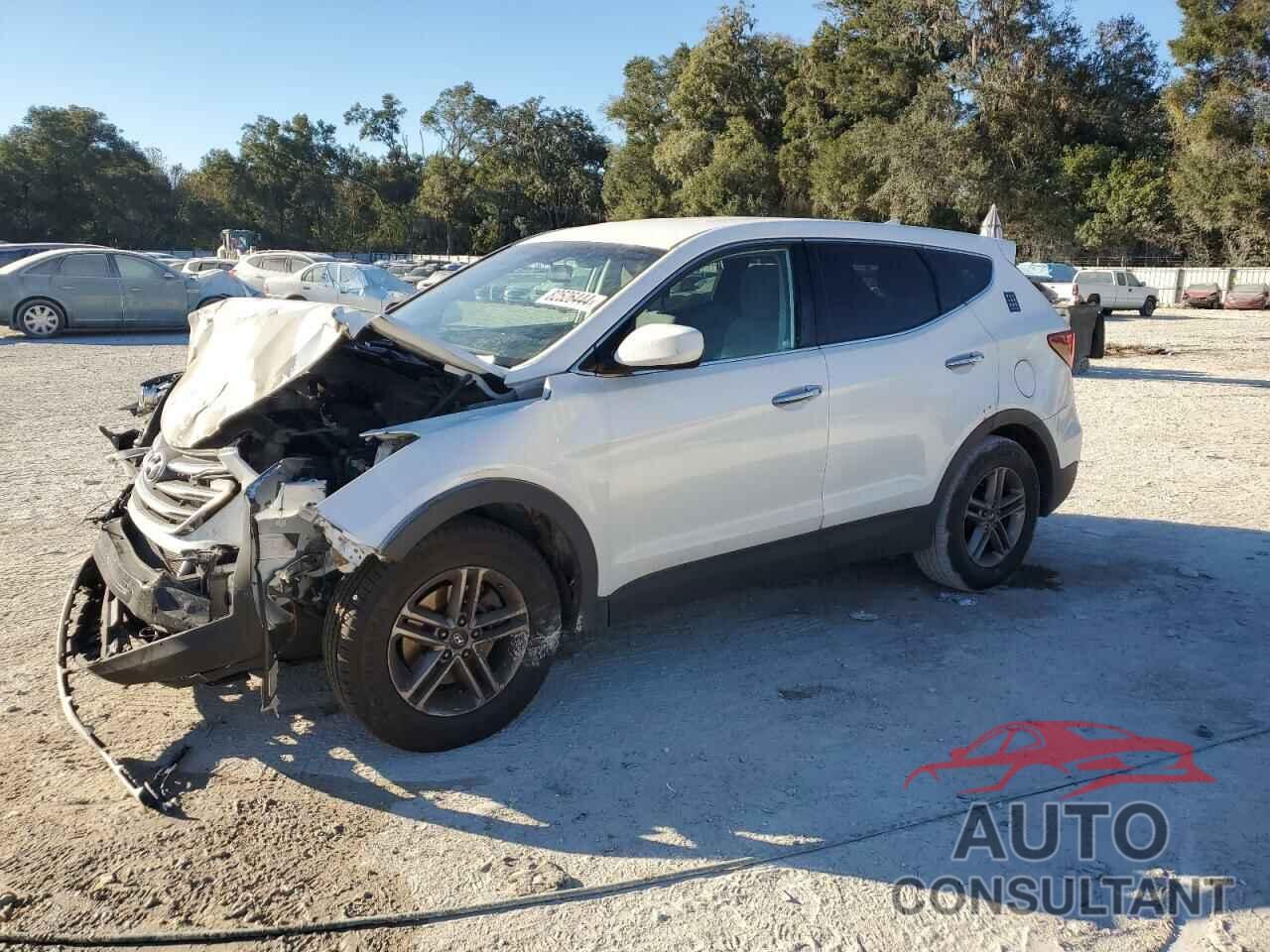 HYUNDAI SANTA FE 2017 - 5NMZT3LB0HH009743