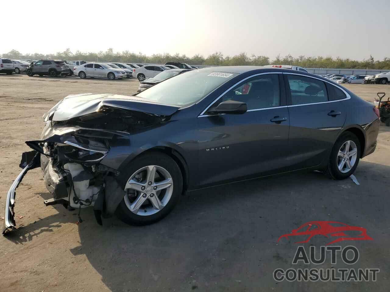 CHEVROLET MALIBU 2019 - 1G1ZB5ST7KF174713