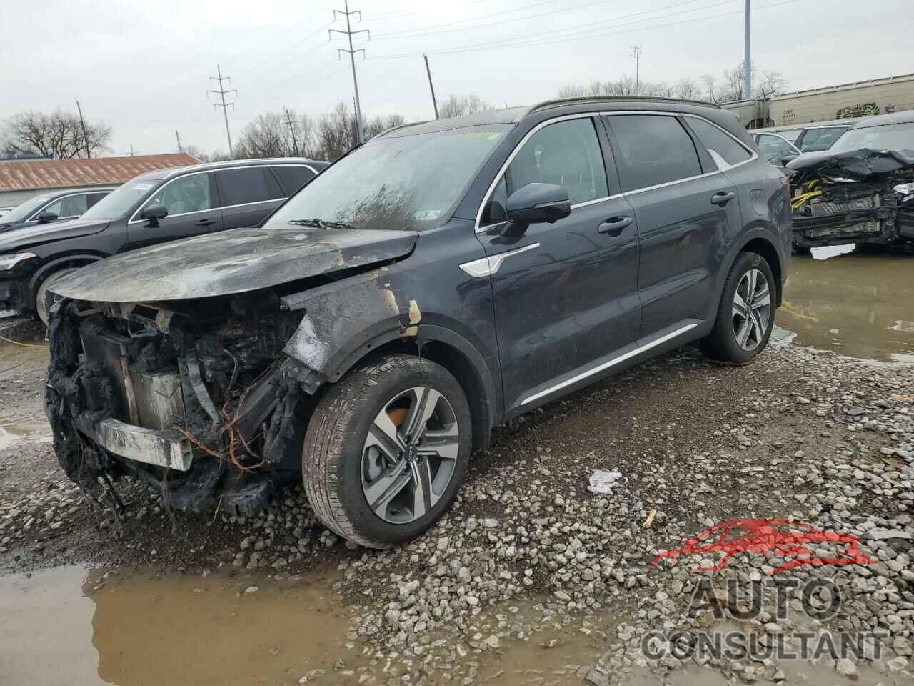 KIA SORENTO 2023 - KNDRKDLG0P5187805