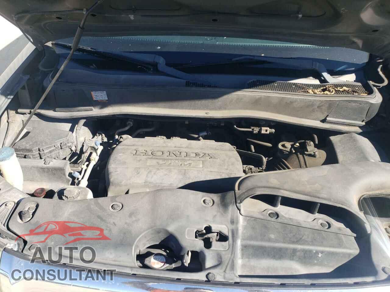 HONDA PILOT 2009 - 5FNYF38629B022575