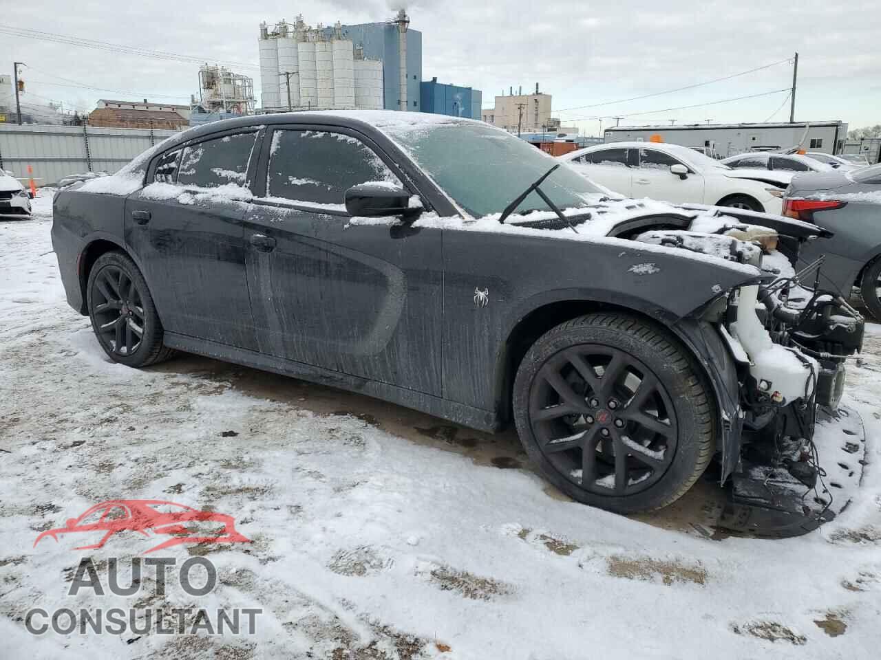 DODGE CHARGER 2019 - 2C3CDXCT8KH523544