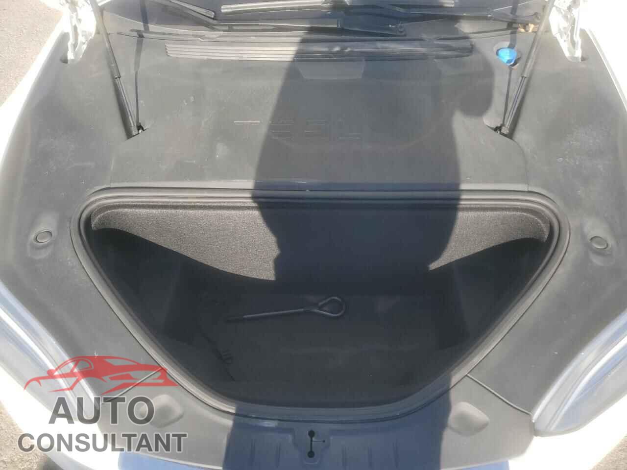 TESLA MODEL S 2019 - 5YJSA1E46KF313887