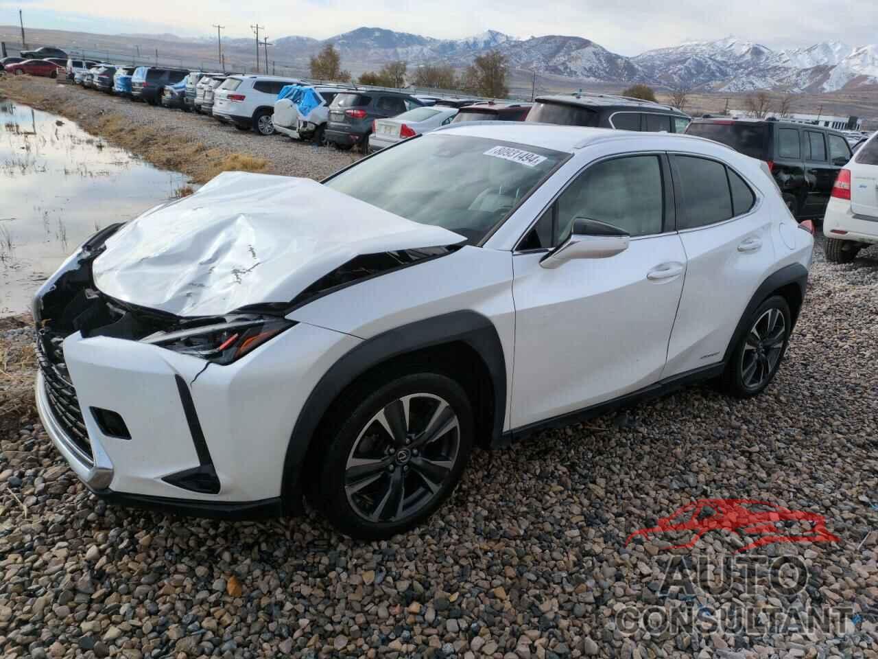 LEXUS UX 250H 2019 - JTHU9JBH7K2013219