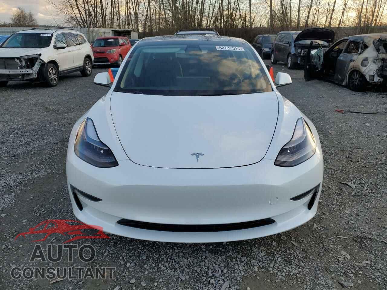 TESLA MODEL 3 2023 - 5YJ3E1EA1PF554598