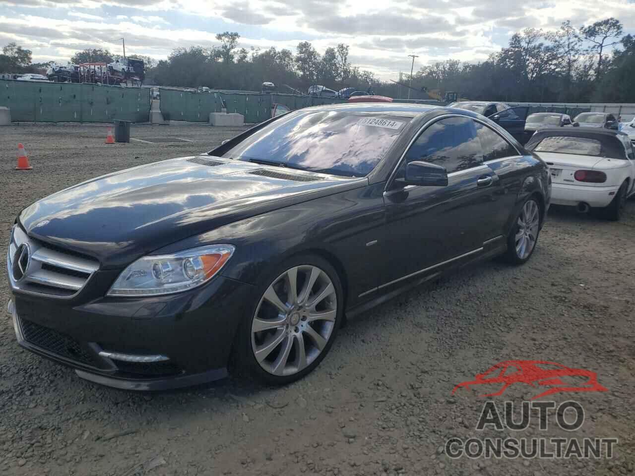 MERCEDES-BENZ CL-CLASS 2013 - WDDEJ9EB1DA030809