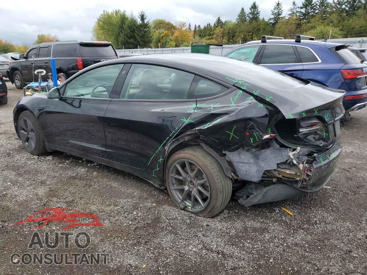 TESLA MODEL 3 2021 - 5YJ3E1EA1MF962451