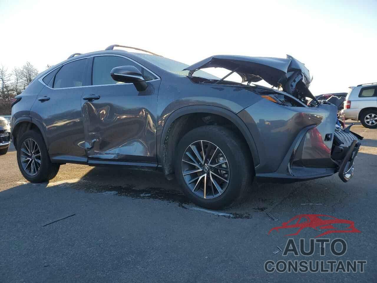 LEXUS NX 350 PRE 2024 - 2T2GGCEZ1RC056739