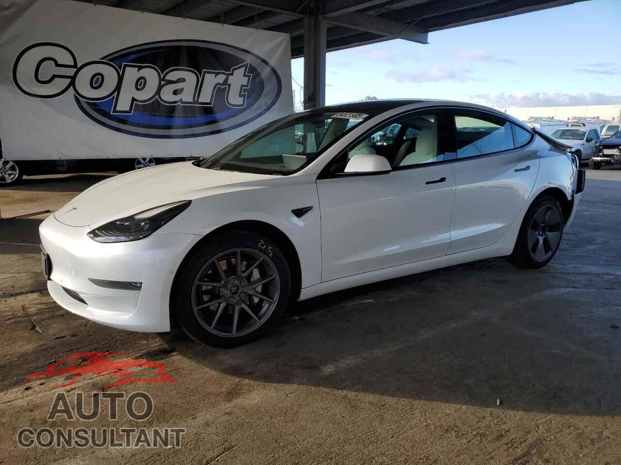 TESLA MODEL 3 2021 - 5YJ3E1EBXMF072717