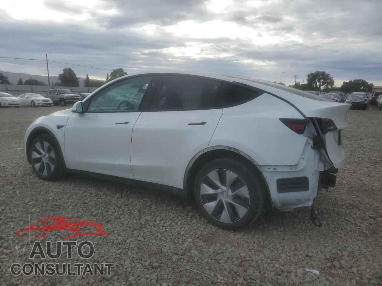 TESLA MODEL Y 2023 - 7SAYGDEE8PF817080