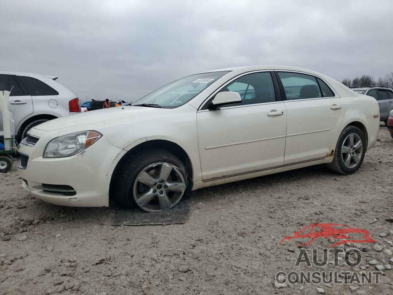 CHEVROLET MALIBU 2011 - 1G1ZC5E14BF323568