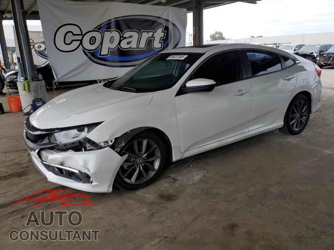 HONDA CIVIC 2019 - JHMFC1F38KX007733