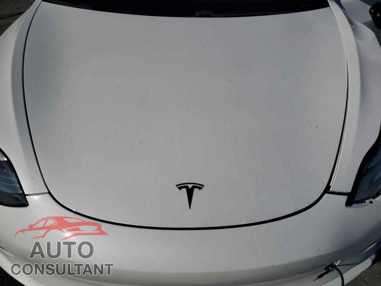 TESLA MODEL 3 2019 - 5YJ3E1EA8KF472621