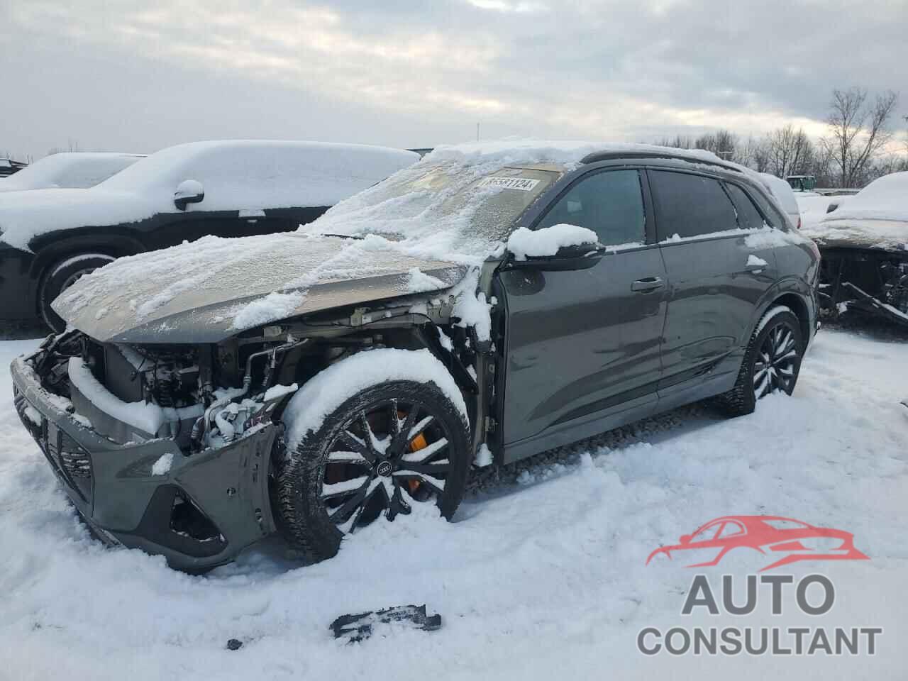 AUDI E-TRON CHR 2023 - WA1VABGE0PB005711