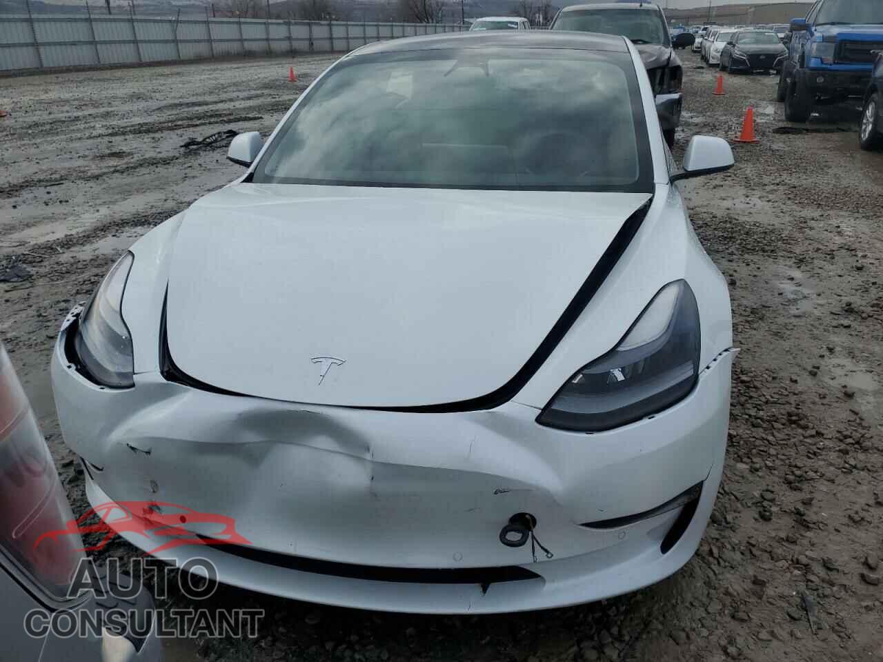 TESLA MODEL 3 2021 - 5YJ3E1EA3MF996276