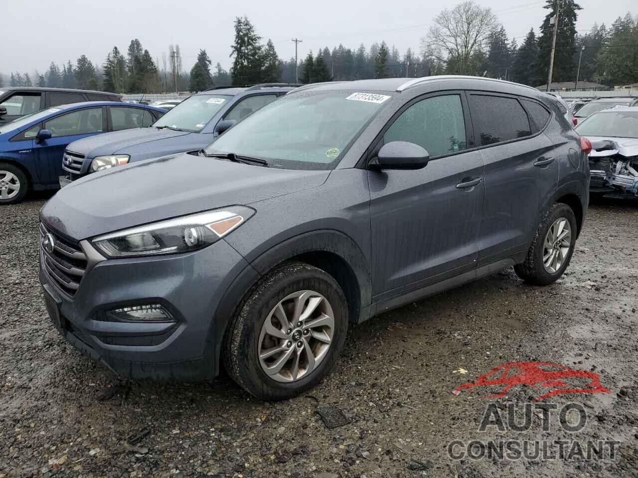 HYUNDAI TUCSON 2016 - KM8J33A46GU175608