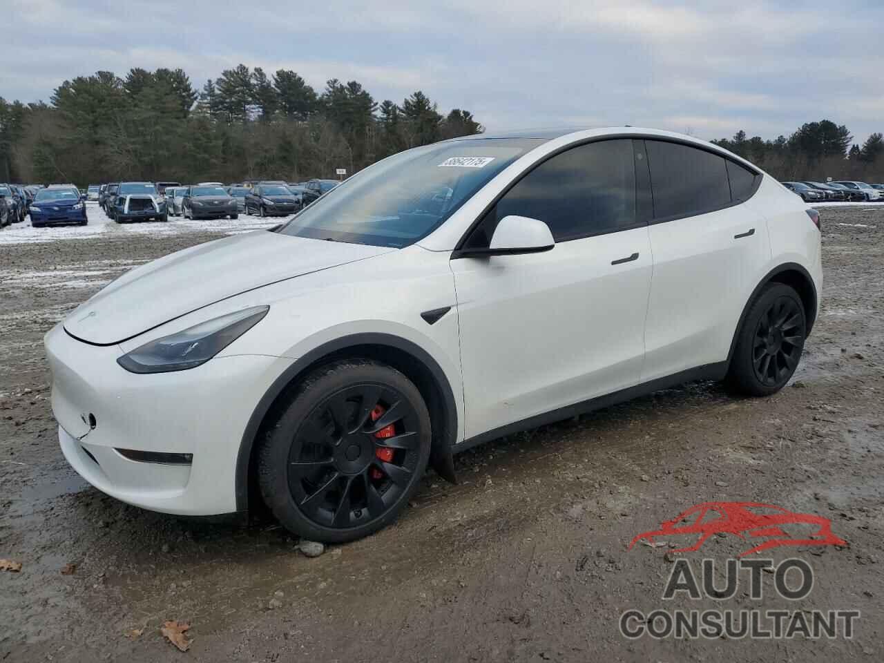 TESLA MODEL Y 2023 - 7SAYGDEE1PF675929