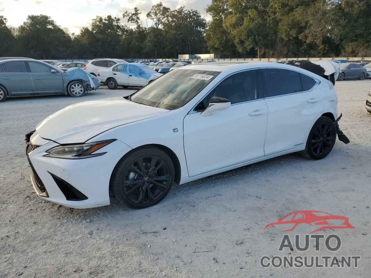 LEXUS ES300 2022 - 58AGA1C12NU021507