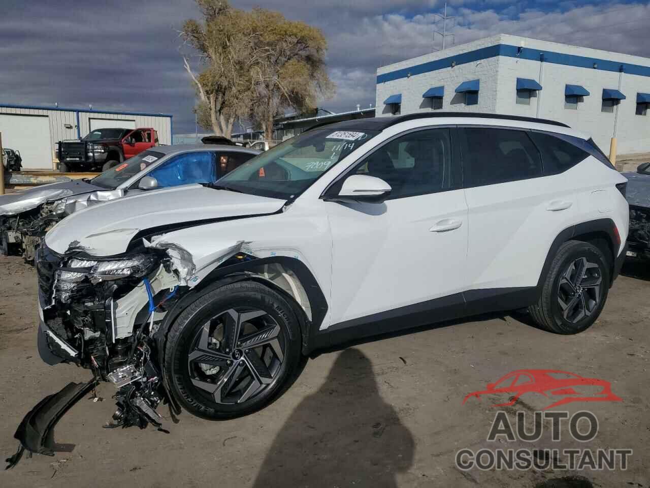 HYUNDAI TUCSON 2024 - KM8JCCD17RU207809