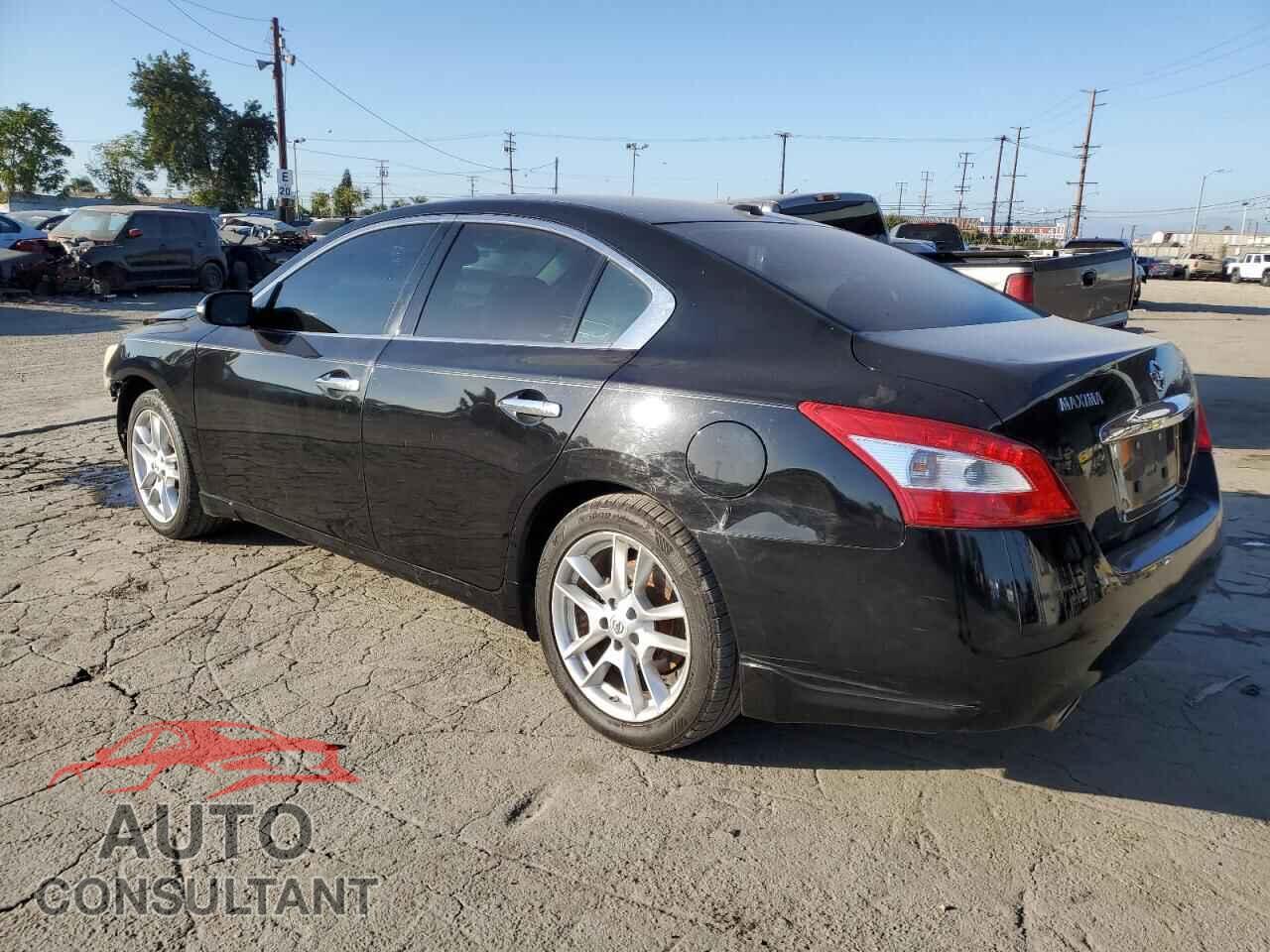 NISSAN MAXIMA 2011 - 1N4AA5AP7BC820545