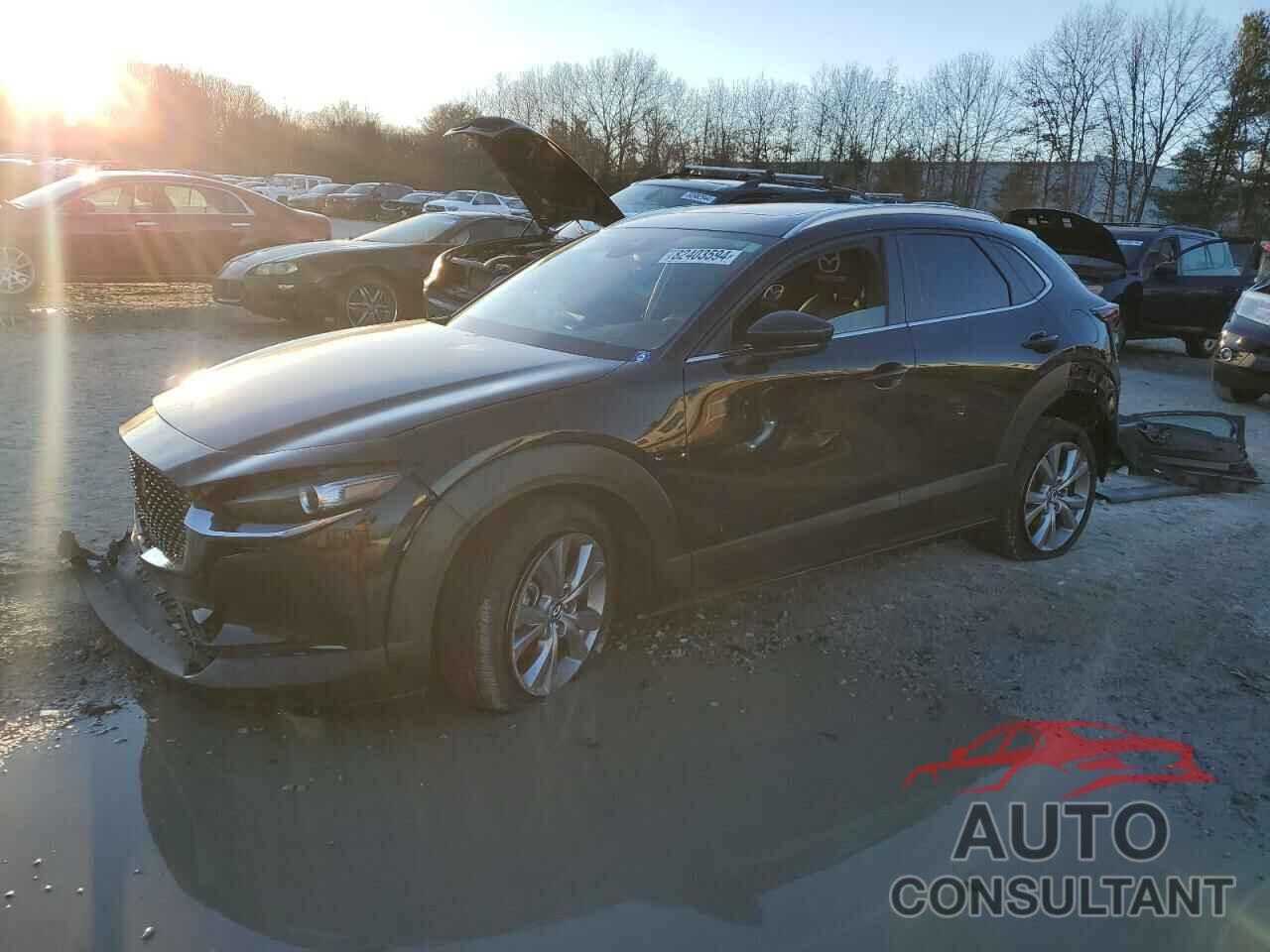 MAZDA CX30 2022 - 3MVDMBCL4NM409435