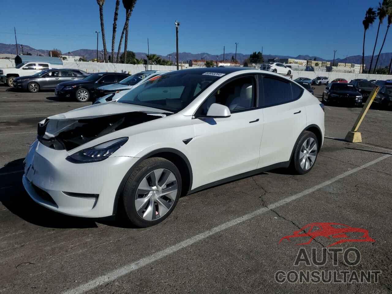 TESLA MODEL Y 2021 - 5YJYGDEE1MF140396