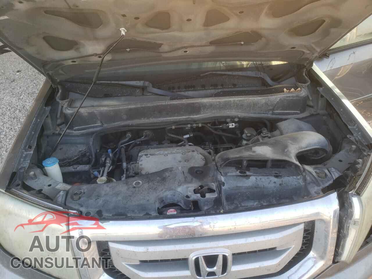 HONDA PILOT 2009 - 5FNYF48639B011221