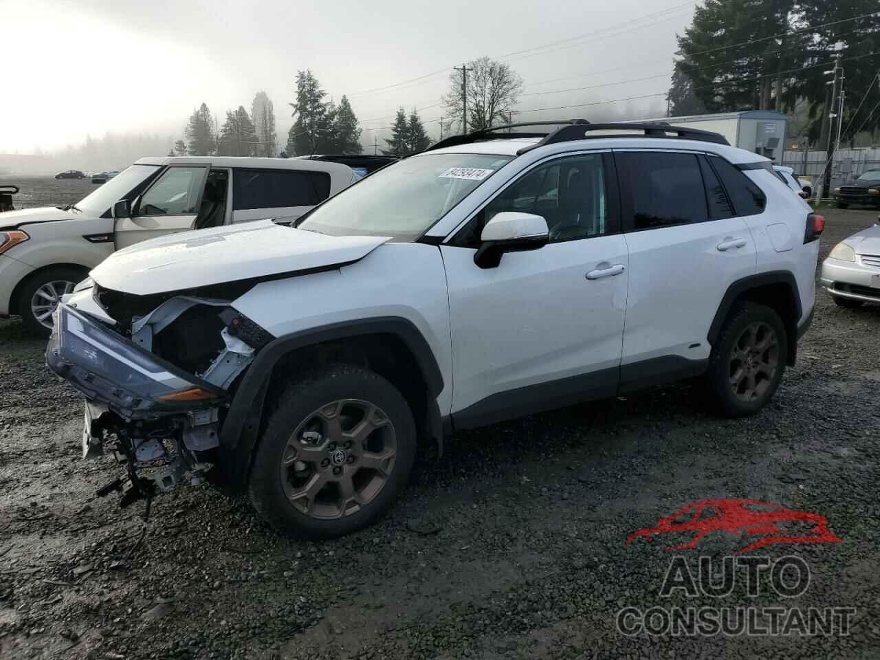 TOYOTA RAV4 WOODL 2023 - 2T3UWRFV6PW166973