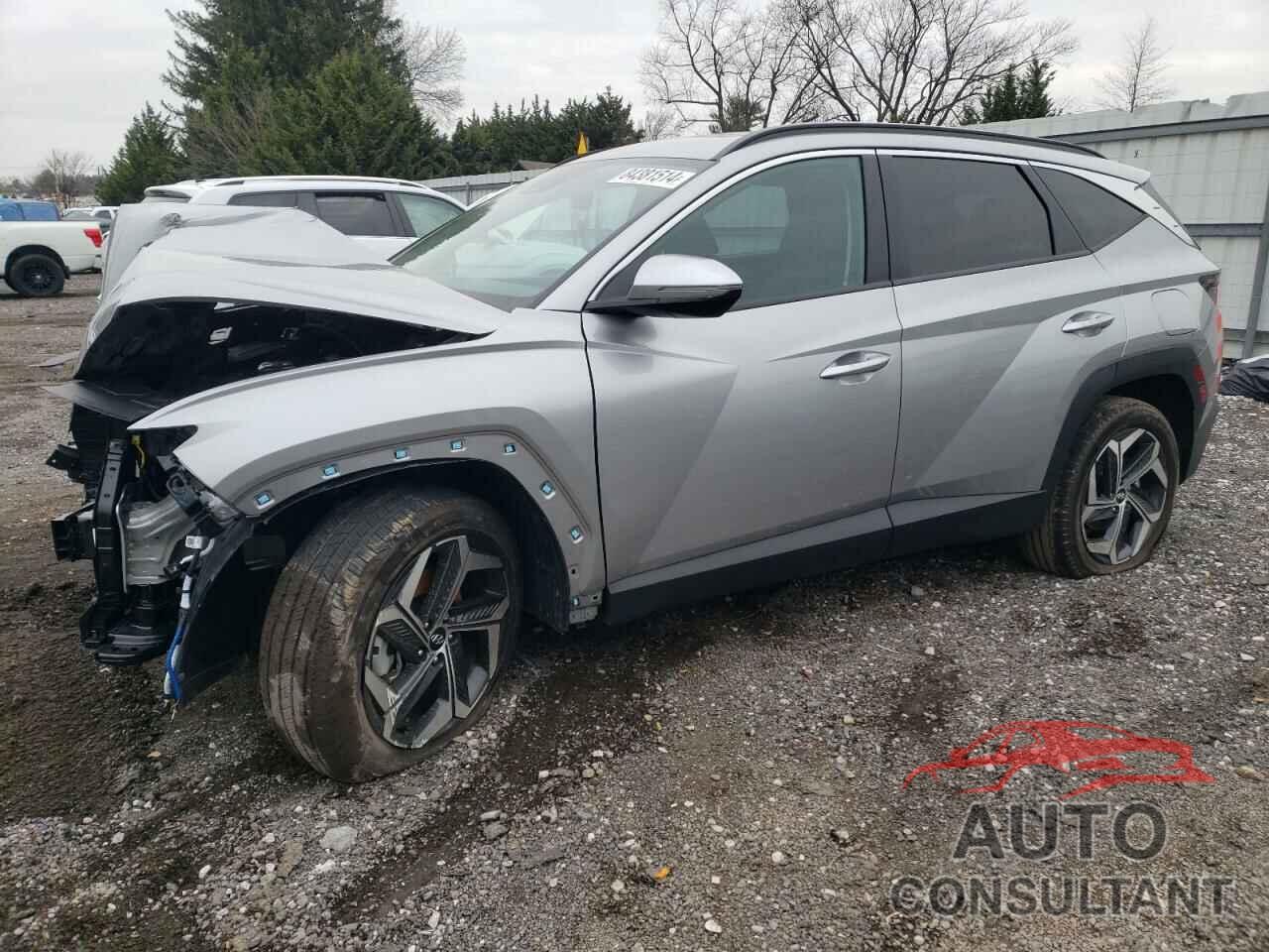 HYUNDAI TUCSON 2024 - 5NMJFCDEXRH313564