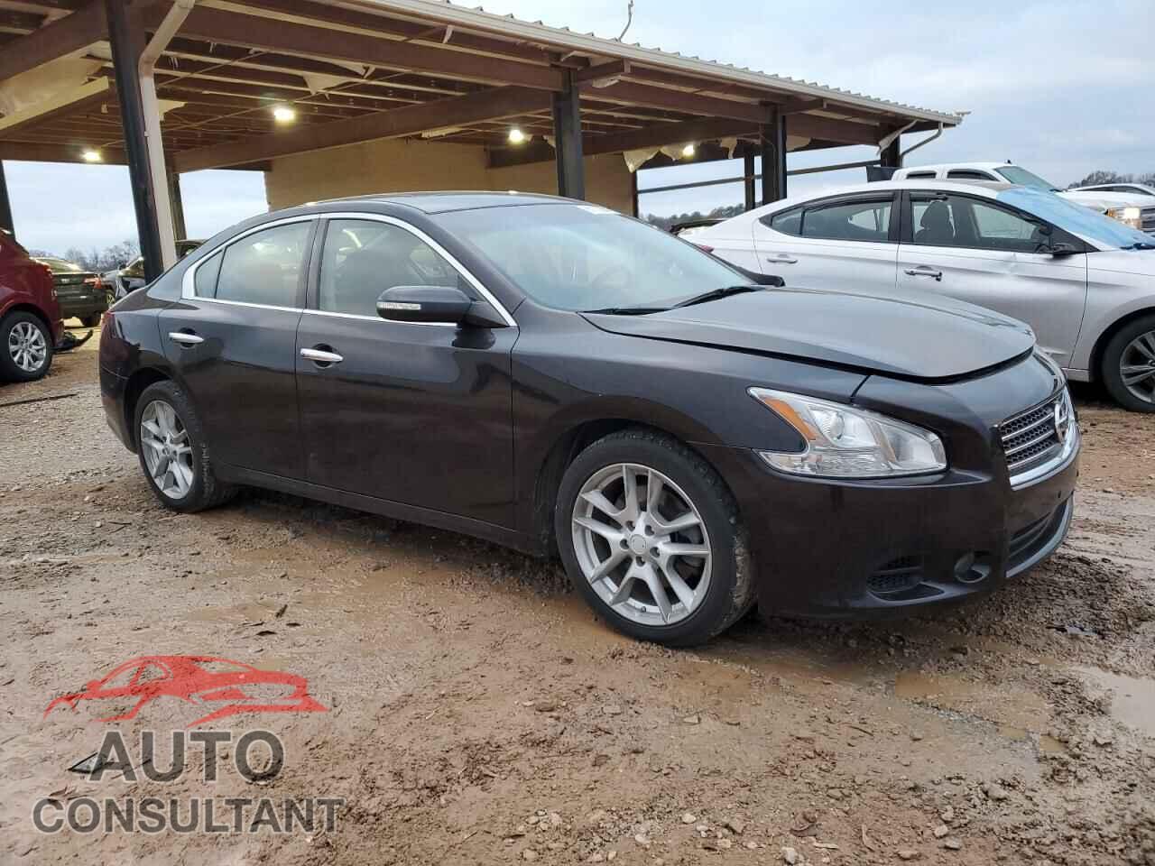 NISSAN MAXIMA 2011 - 1N4AA5AP1BC809668