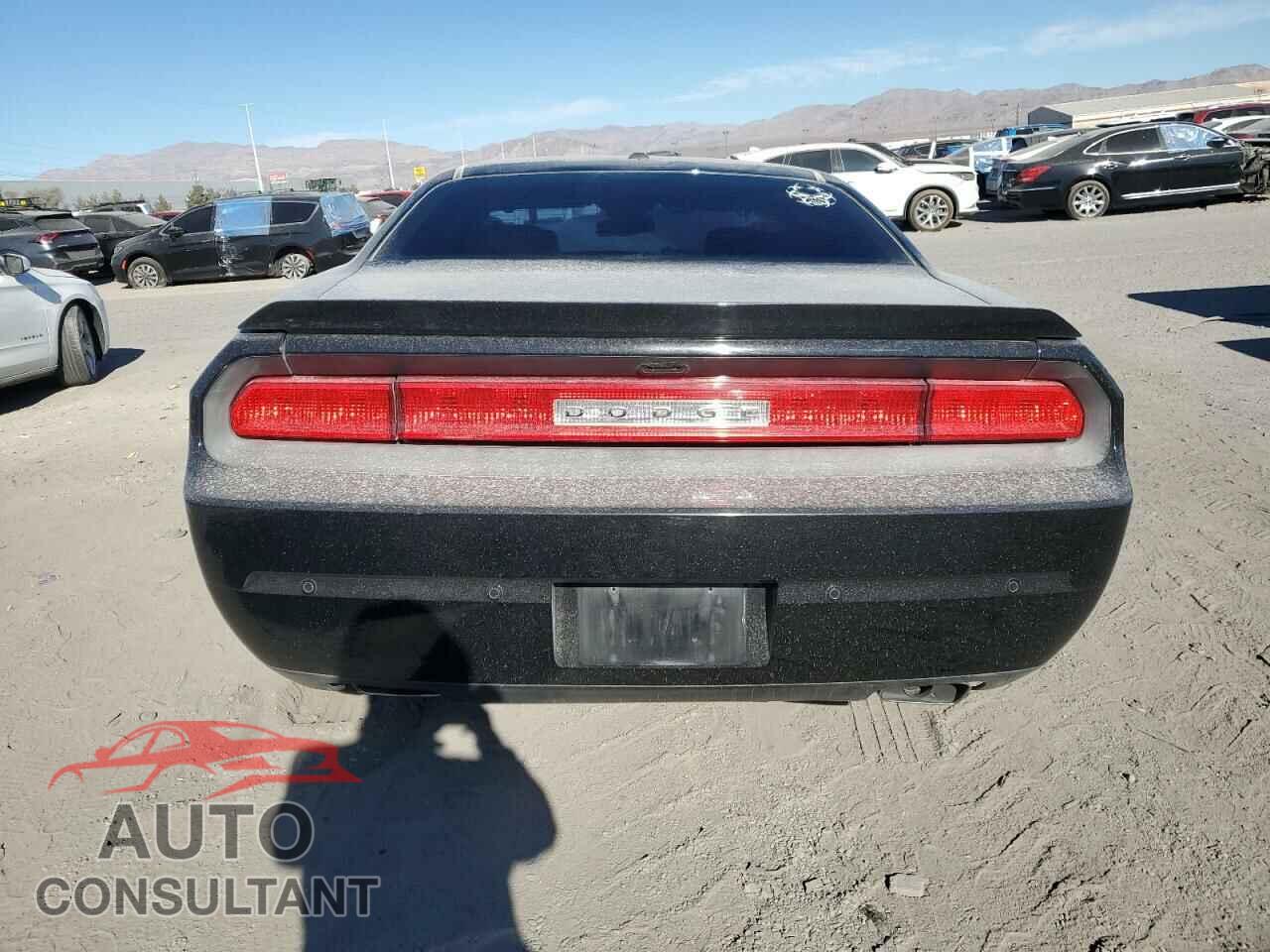 DODGE CHALLENGER 2014 - 2C3CDYBT2EH225423