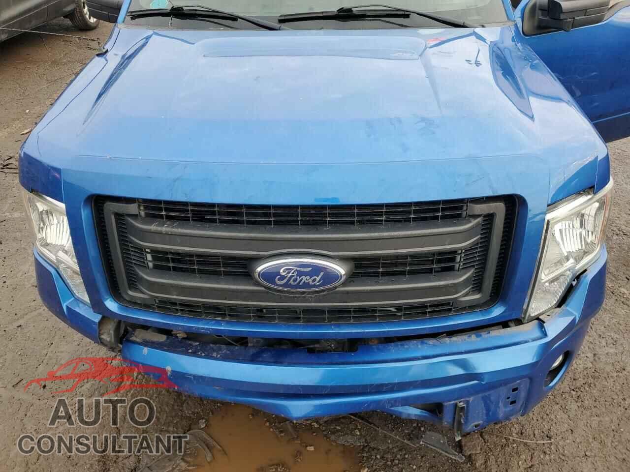 FORD F-150 2013 - 1FTFX1EF3DFD46989