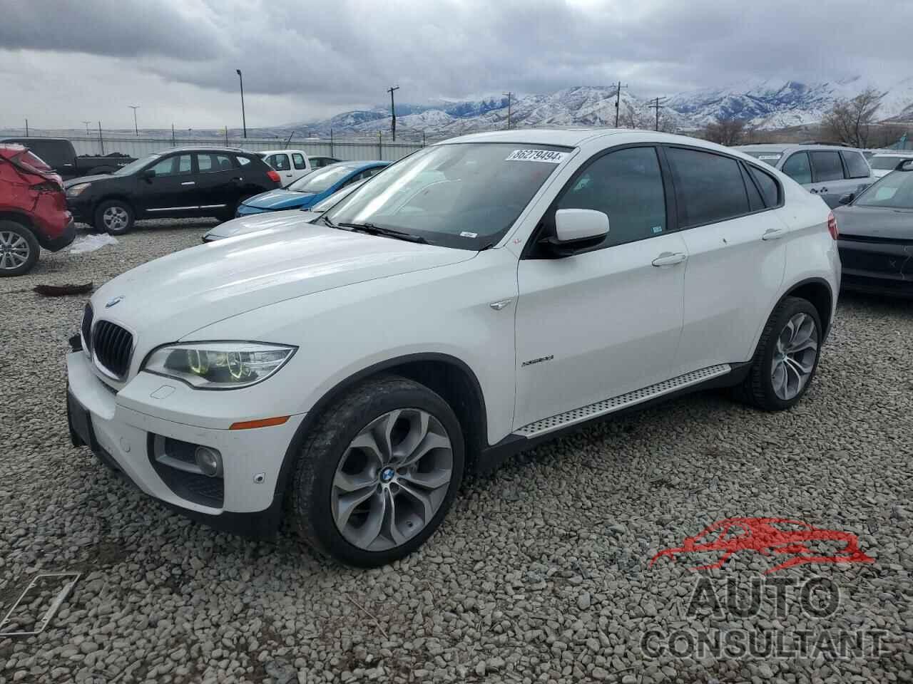 BMW X6 2013 - 5UXFG2C54DL788003