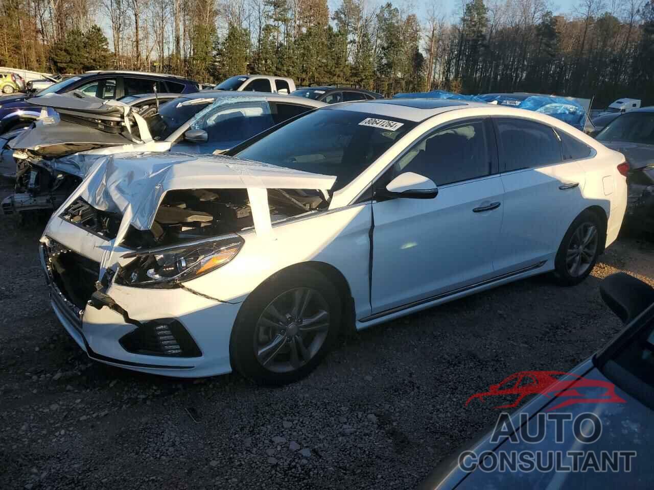 HYUNDAI SONATA 2018 - 5NPE34AF1JH715087