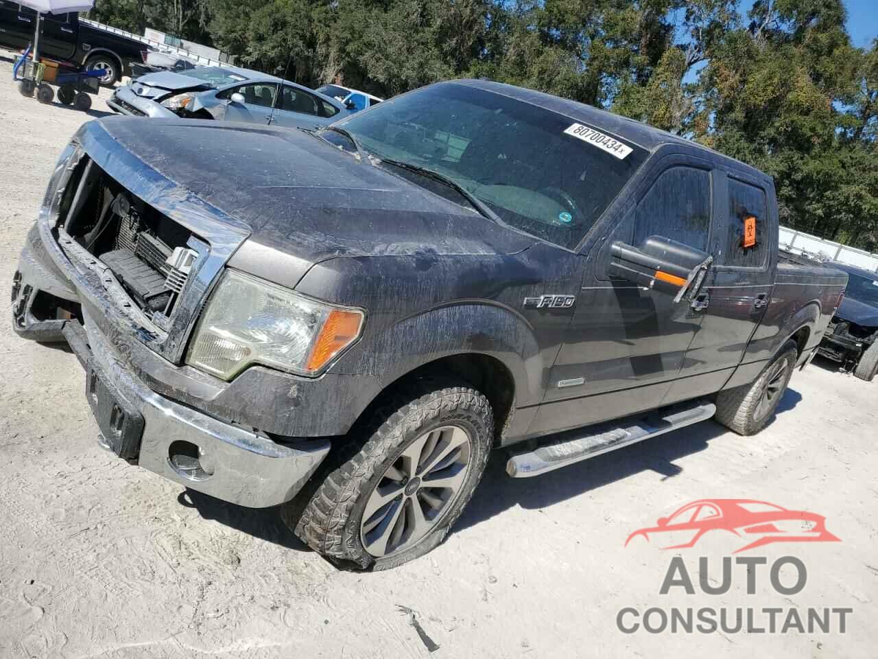 FORD F-150 2013 - 1FTFW1ET5DKD85115